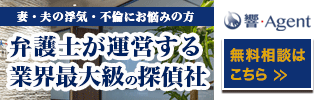 どうしたって、不倫調査が正確だと思うしかありません。